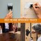 3 inch Foam Sponge Wood Handle Paint Brush Set (Super Value Pack of 30) - Lightweight, durable and great for Acrylics, Stains, Varnishes, Crafts, Art